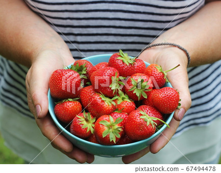 Female hands holding bowl with fresh strawberries Female hands holding bowl with fresh strawberries 67494478