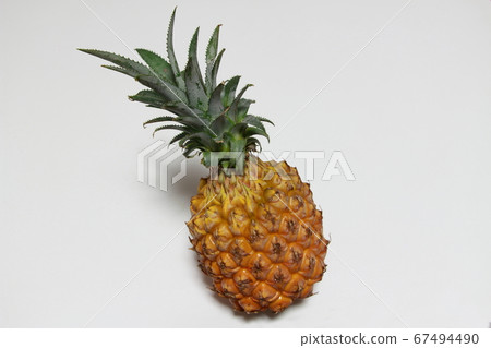 Snack pine Snack pine 67494490