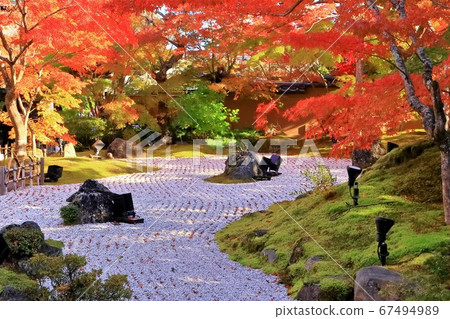 Japanese garden of autumn leaves 67494989