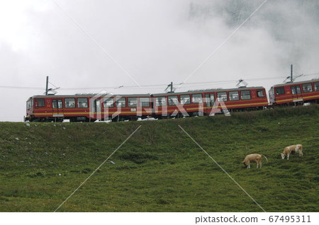 瑞士，克萊因·謝德格（Kleine Scheidegg），少女峰鐵路 67495311