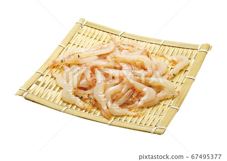 White shrimp 04 (with pass) White shrimp 04 (with pass) 67495377