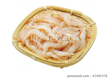 白蝦03(通過) 白蝦03(通過) 67495378