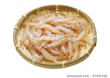 White shrimp 01 (with pass) White shrimp 01 (with pass) 67495380