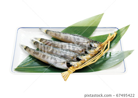 Dried Mexicali 08 (with pass) Dried Mexicali 08 (with pass) 67495422