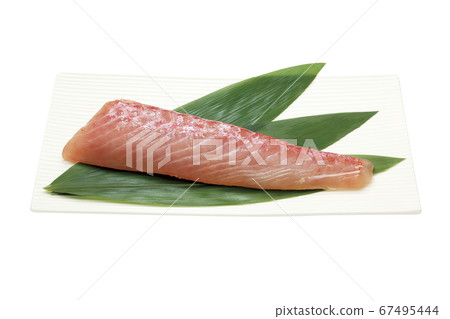 Kinme Tai Saku 04 (with pass) 67495444