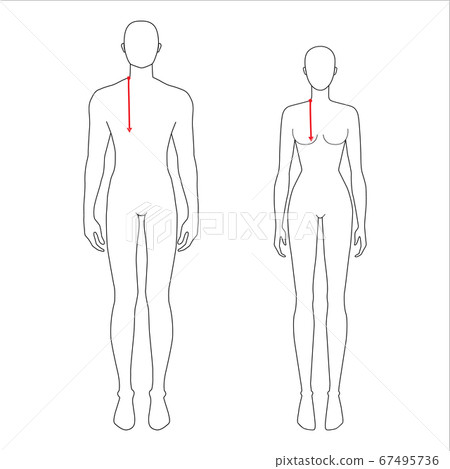 Women and men measurements fashion. 67495736