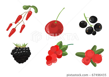 Berry Set. Forest berry. Berry Set. Forest berry. 67496435