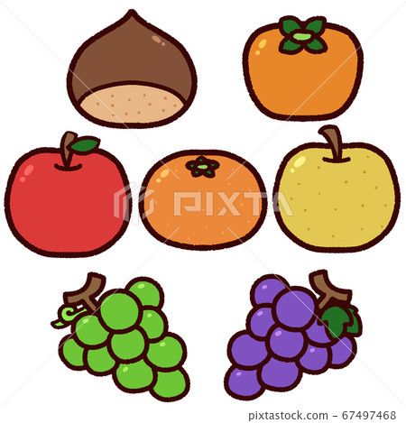 Simple autumn fruit illustration set Simple autumn fruit illustration set 67497468