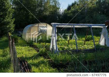 Greenhouse in the Kitchen garden. 67497776