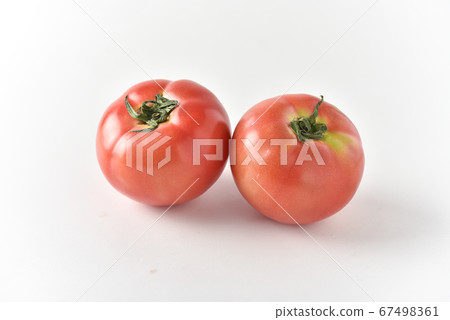 Tomato   67498361