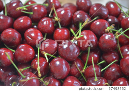 American Cherry 67498362