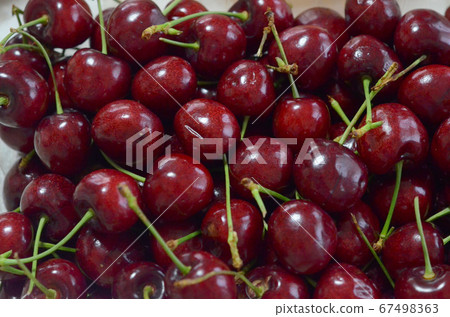 American Cherry American Cherry 67498363