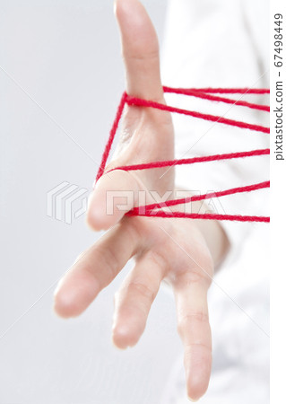 貓的搖籃 67498449
