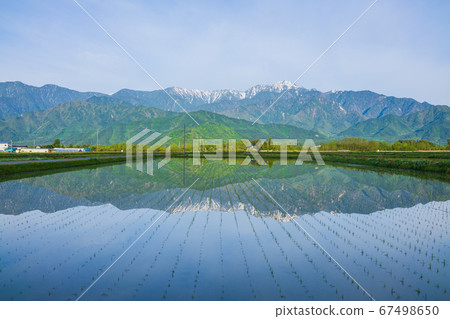 稻田和鶴岳[晨景] 67498650
