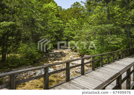 A clear stream flowing through the Akazawa Natural Recreation Forest as seen from inside a running train A clear stream flowing through the Akazawa Natural Recreation Forest as seen from inside a running train 67499976