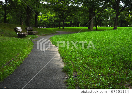 雨季結束時的熱田東公園，綠意盎然的小徑 67501124