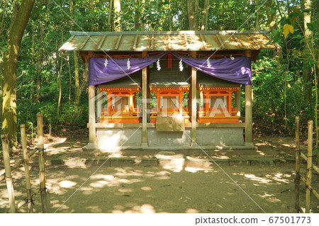[Iyo-Kuni Ichinomiya] Oyama Shrine Shrine in the Forest Himeko-e Shrine Imabari City, Ehime Prefecture 67501773