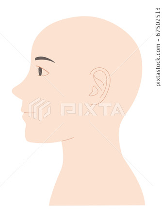 男性皮膚頭部輪廓圖 67502513