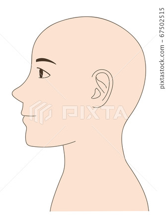 Male skin head profile illustration 67502515