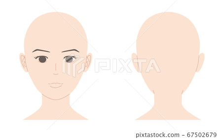 Female Skin Head Front And Back Illustration Stock Illustration