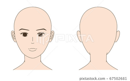 Female skin head front and back illustration 67502681