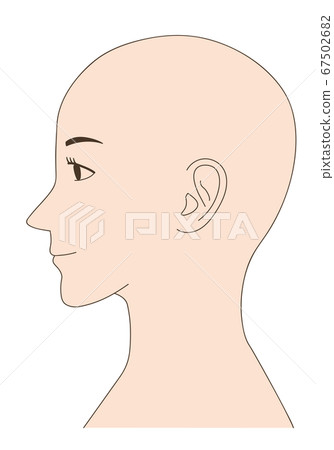 Female skin head profile illustration 67502682
