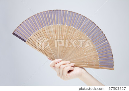 Hand holding a fan 67503327