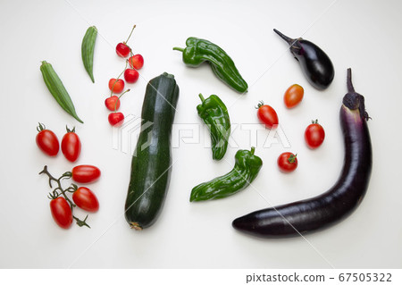 Freshly picked tomato, zucchini, okra and eggplant Freshly picked tomato, zucchini, okra and eggplant 67505322