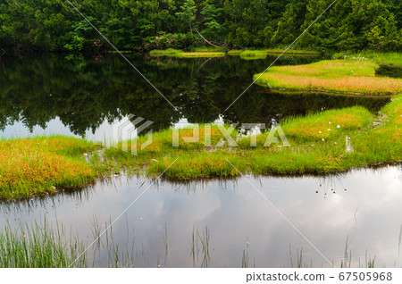 Shiga Kogen in the summer Shibuike 67505968