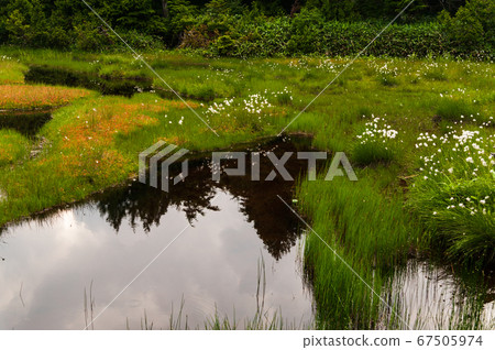 Shiga Kogen in the summer Shibuike Shiga Kogen in the summer Shibuike 67505974