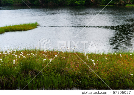 Summer Shiga Kogen Pond Tour Course Summer Shiga Kogen Pond Tour Course 67506037