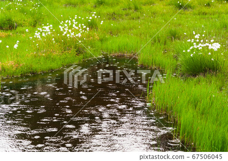 Summer Shiga Kogen Pond Tour Course 67506045