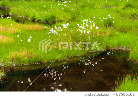 Summer Shiga Kogen Pond Tour Course 67506108
