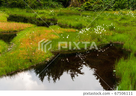 Shiga Kogen Summer Pond Tour Course Shibuike 67506111