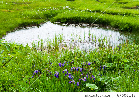 Summer Shiga Kogen Pond Tour Course 67506115