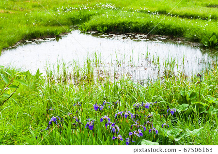 Summer Shiga Kogen Pond Tour Course 67506163