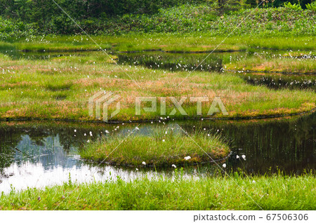 Summer Shiga Kogen Pond Tour Course 67506306