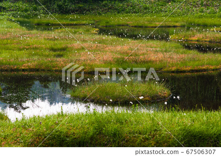 Summer Shiga Kogen Pond Tour Course 67506307