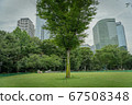Park Tree 67508348