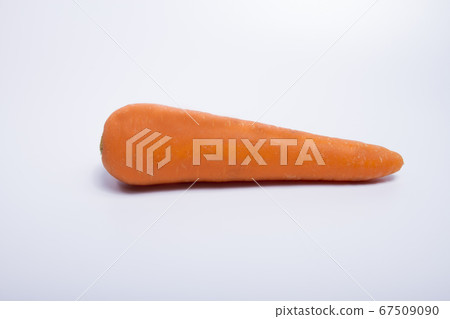 Carrot isolated on white background 67509090