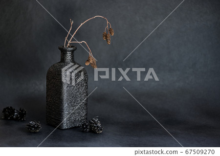 Dreid branch in black square bottle vase on dark 67509270