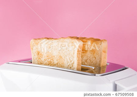 Toasted toast bread in white toaster on pink background Toasted toast bread in white toaster on pink background 67509508