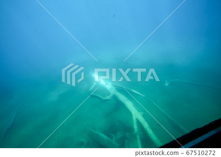 Hokkaido Autumn Chitose City Lake Shikotsu Underwater Pleasure Boat 67510272