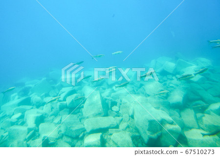 Hokkaido Autumn Chitose City Lake Shikotsu Underwater Pleasure Boat 67510273