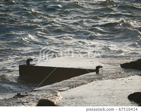Concrete mole in harbor with steel bollards Concrete mole in harbor with steel bollards 67510414