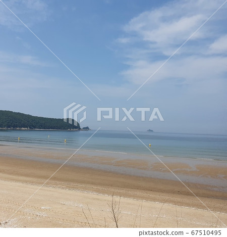 Summer sea Summer sea 67510495