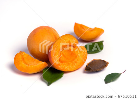 Fresh Apricot fruit isolated on white background Fresh Apricot fruit isolated on white background 67510511