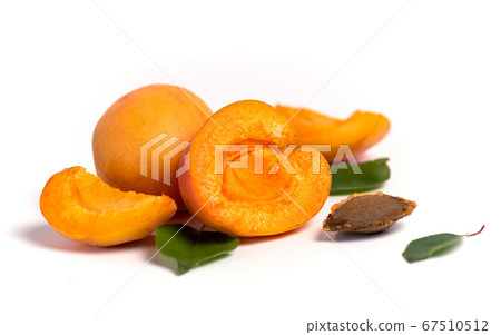 Fresh Apricot fruit isolated on white background Fresh Apricot fruit isolated on white background 67510512