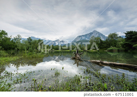 Bordano lake, Italy 67511001