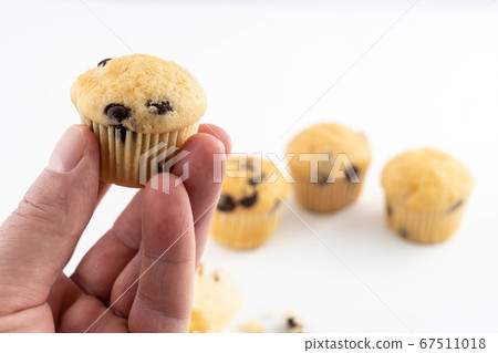 chocolate muffins 67511018